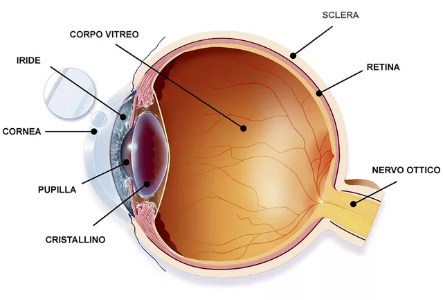 Manejo de los efectos secundarios del tratamiento del cáncer de ojo
